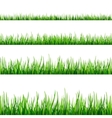 grass seamless field pattern isolated on white vector image vector image