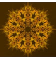abstraction orange background vector image