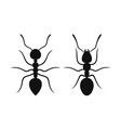 ant vector image