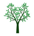 green tree with leaves outline vector image