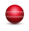 red cricket ball with leather string vector image