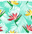 strelitzia palm pattern bir vector image