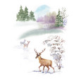 watercolor winter landscape with deers vector image