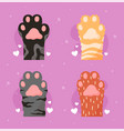 cats paws set vector image