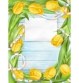 beautiful bouquet of tulips eps 10 vector image