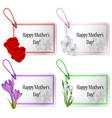 mothers day card set with flowers vector image vector image