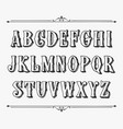 hand drawn label font for design in vintage style vector image