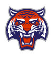 tiger mascot vector image