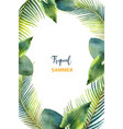 watercolor frame tropical leaves vector image