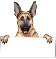 portrait of german shepherd vector image