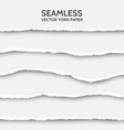 seamless torn paper set on gray background vector image