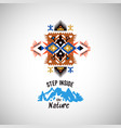 colorful decorative element on native vector image vector image