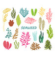 underwater seaweed ocean coral reef plants vector image