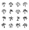 palm tree icons vector image