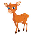 deer vector image vector image