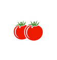 tomato vector image