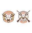 western retro logo - buffalo skull with crossed vector image