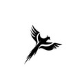 bird fly logo template vector image