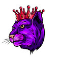 cougar panther mascot head vector image vector image