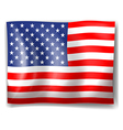 usa flag vector image
