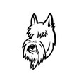 scottish terrier head mascot black and white vector image