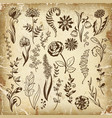 plants set vector image vector image