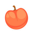 fresh red apple isolated on white graphic vector image