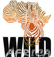 wild animals of africa vector image vector image