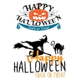 halloween themes with witch and pumpkins vector image