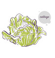 hand drawn sketch food vector image