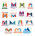 letter m corporate identity business icons vector image vector image