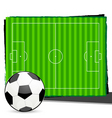 soccer with playground vector image vector image