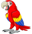 Macaw bird cartoon waving Royalty Free Vector Image