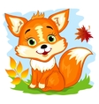 cute fox vector image vector image