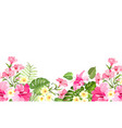 summer vacation card tropical flowers of plumeria vector image