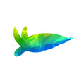 gem turtle vector image
