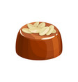 candy with hazelnut topping isolated sweet food vector image vector image