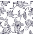 flowering magnolia hand drawn black and white vector image