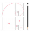 golden ratio vector image vector image
