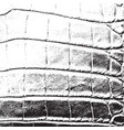 serpent overlay texture vector image vector image