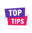 top tips sign label speech bubble sign origami vector image