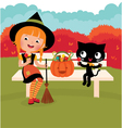 witch of and her cat vector image vector image