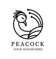 peacock logo with line design vector image vector image
