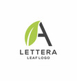 abstract leaf logo letter a logo a logo design vector image