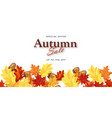 autumn sale banner vector image vector image