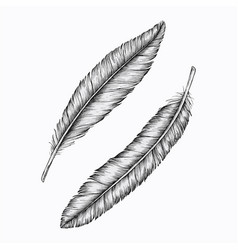 Two hand drawn graphic Royalty Free Vector Image