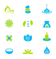 wellness and spa icons vector image