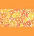 pattern background sliced halves of citrus vector image vector image