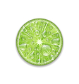 lime with transparent droplets vector image