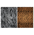 animal print patterns vector image